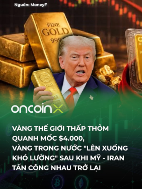@Oncoin X