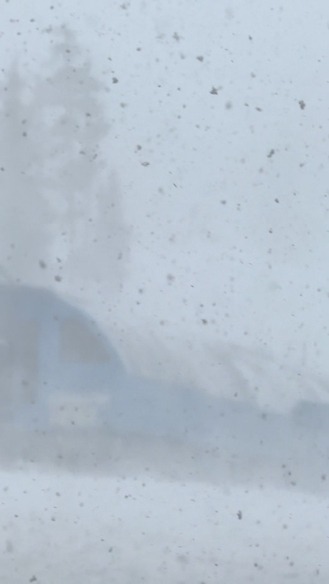 @mt.bachelor