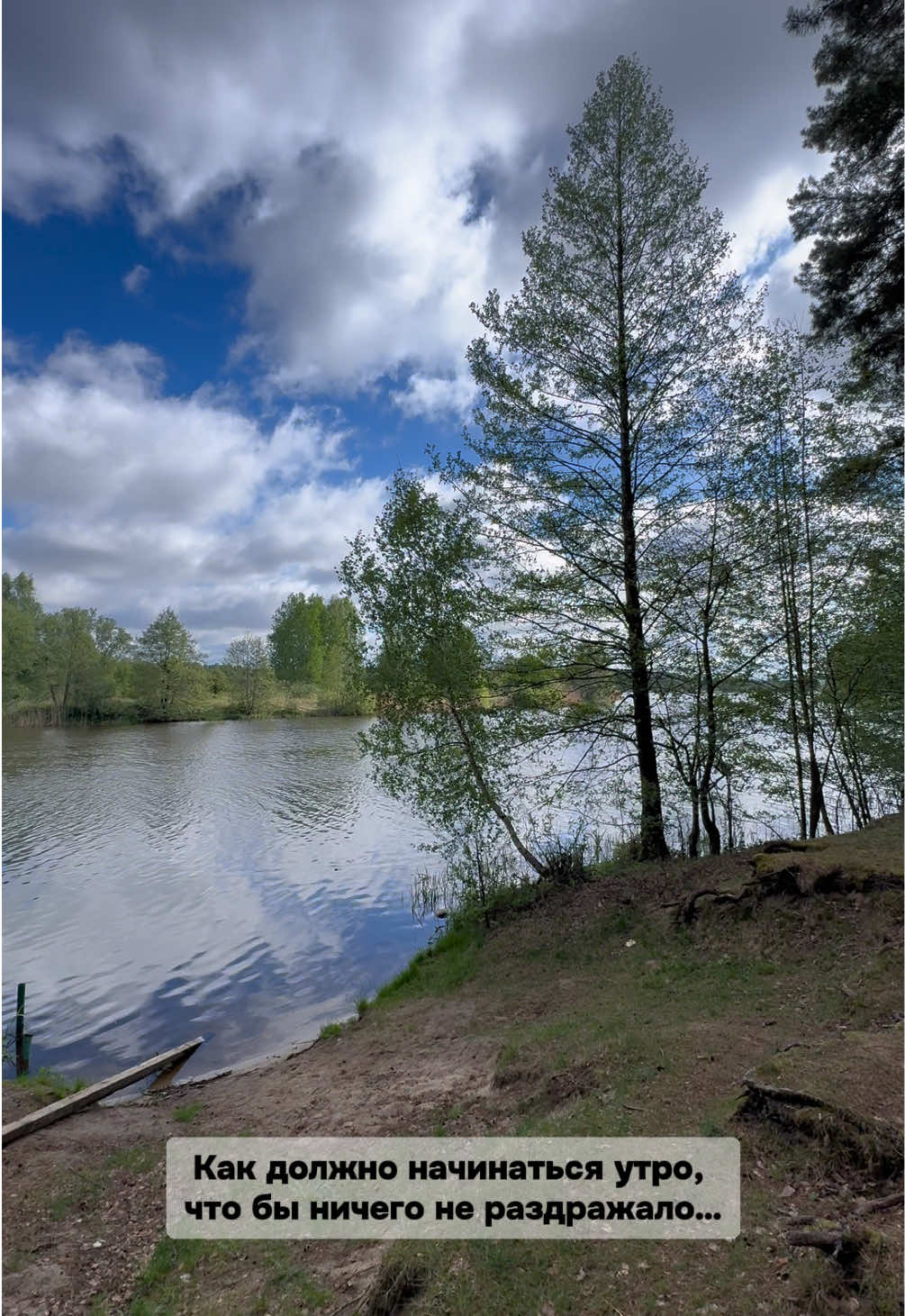 @Яна Вербицкая