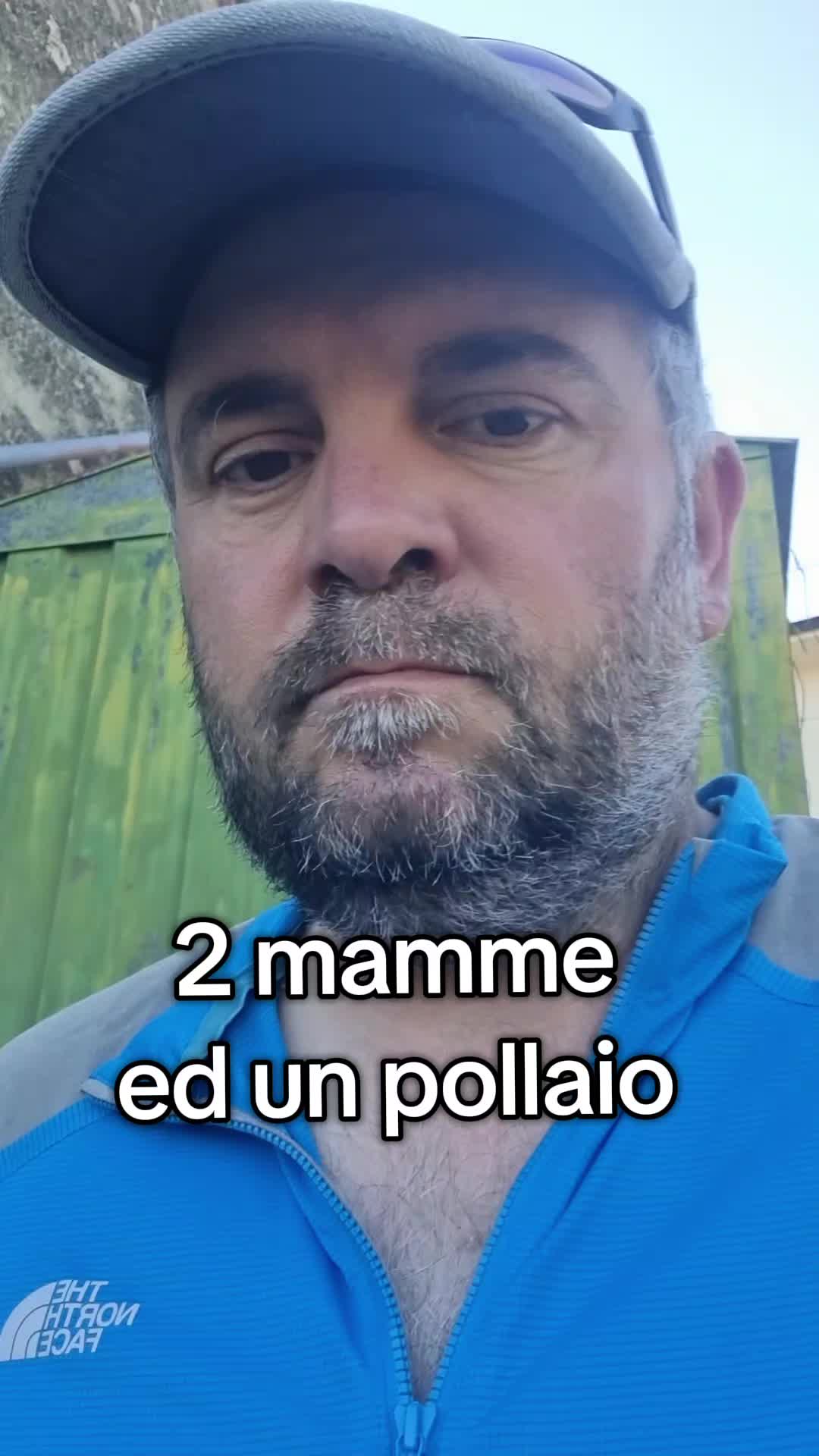 @Il leone e la gallina