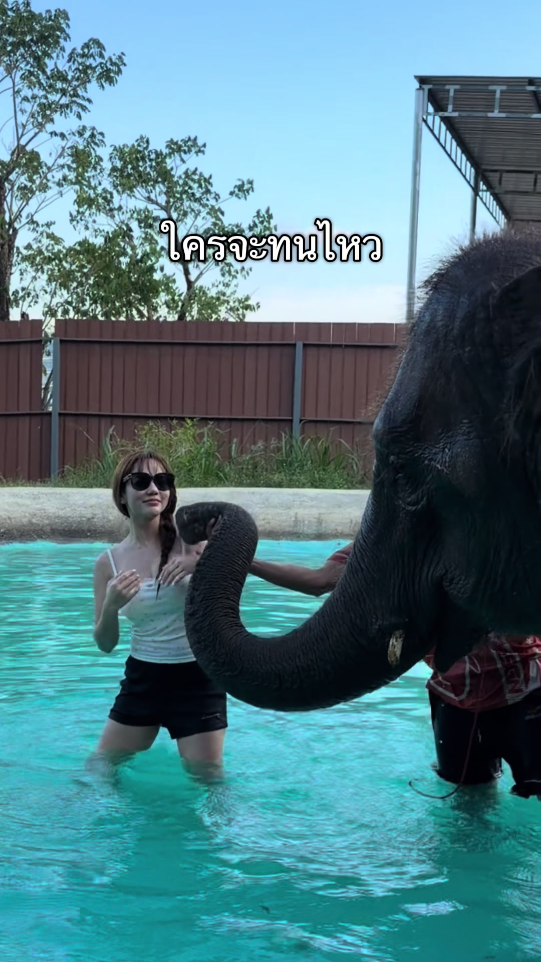 @อีฟ ของแทร่