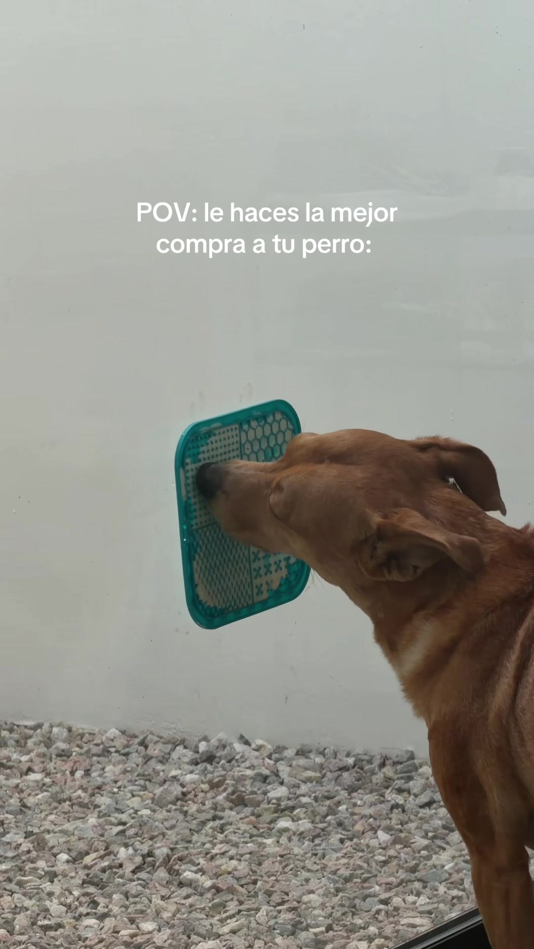 @Clari Viviers