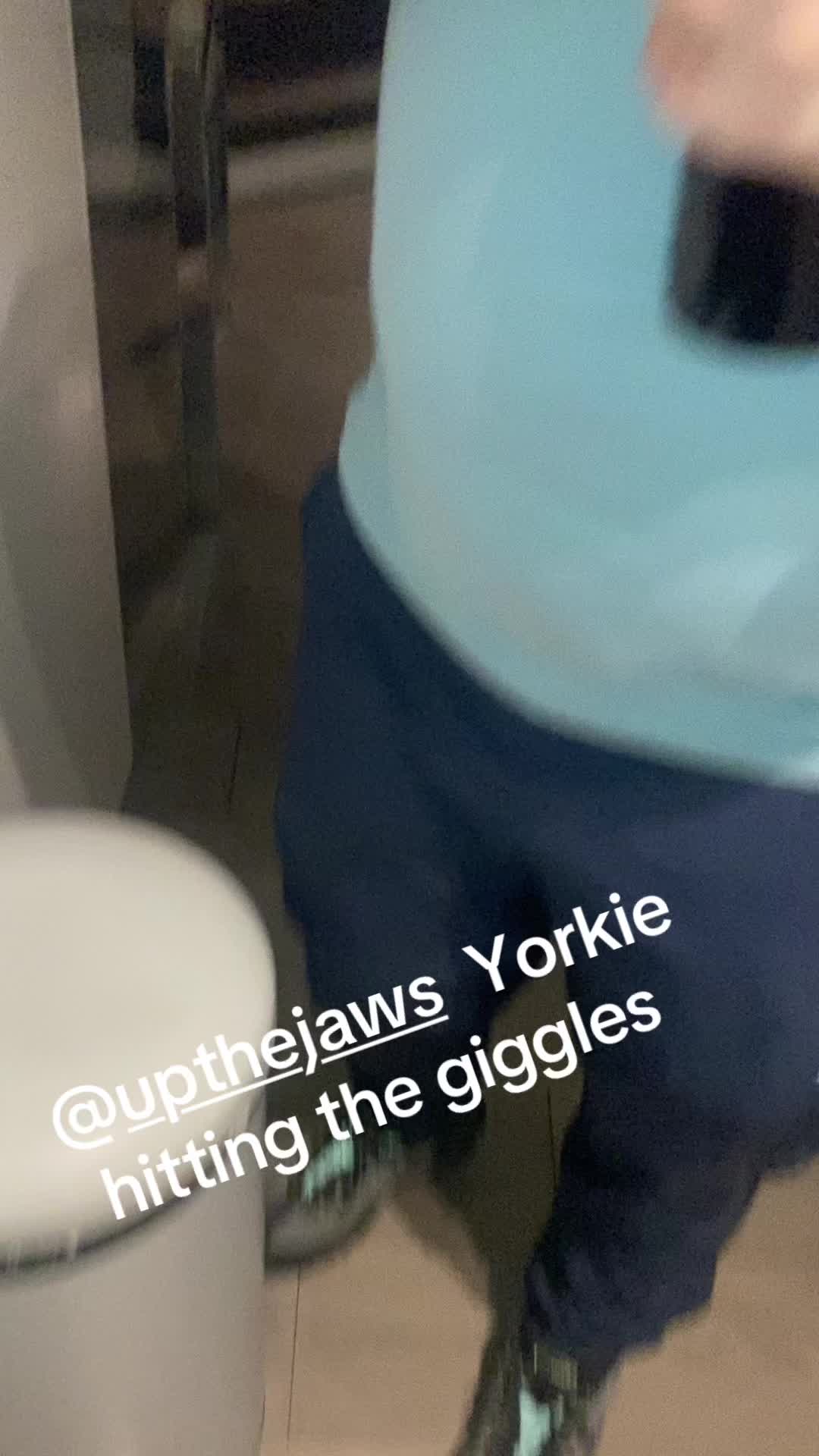 @scottishrambo01