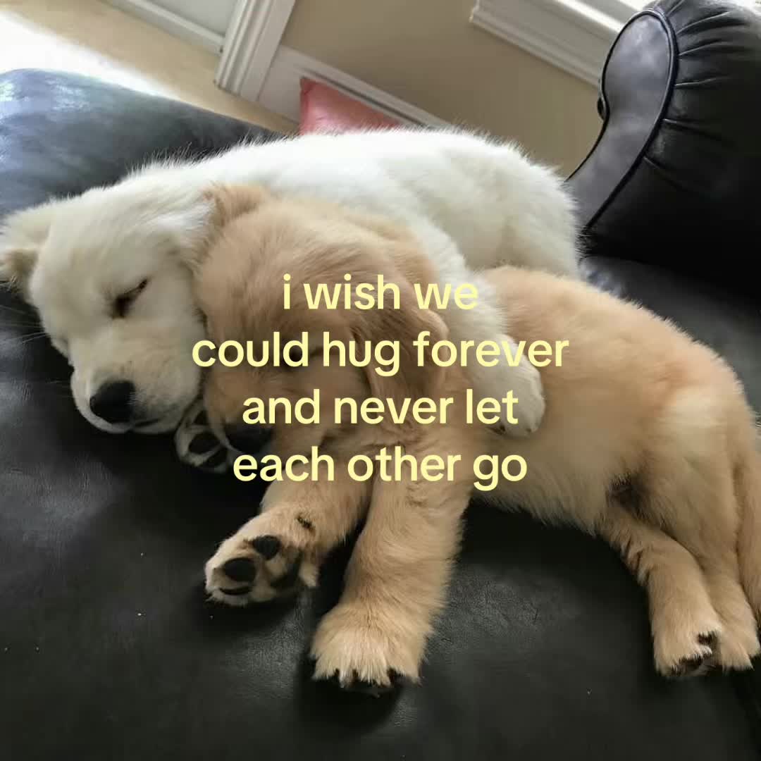 @thisbelovedlife