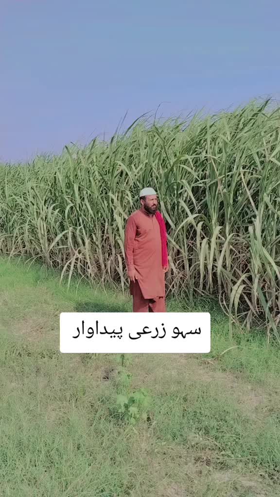 @Sarfraz qadri sahu