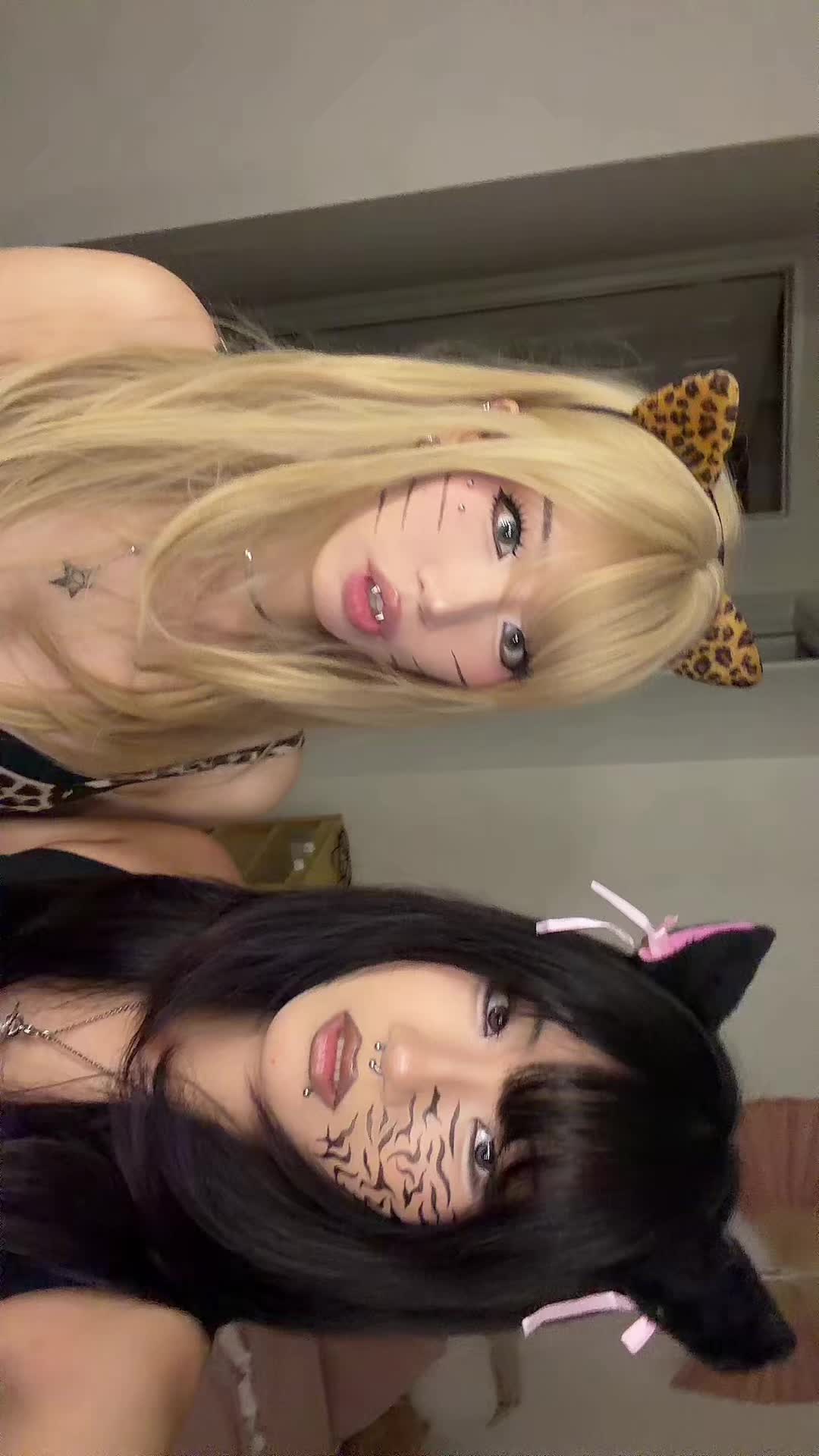 @meimazing