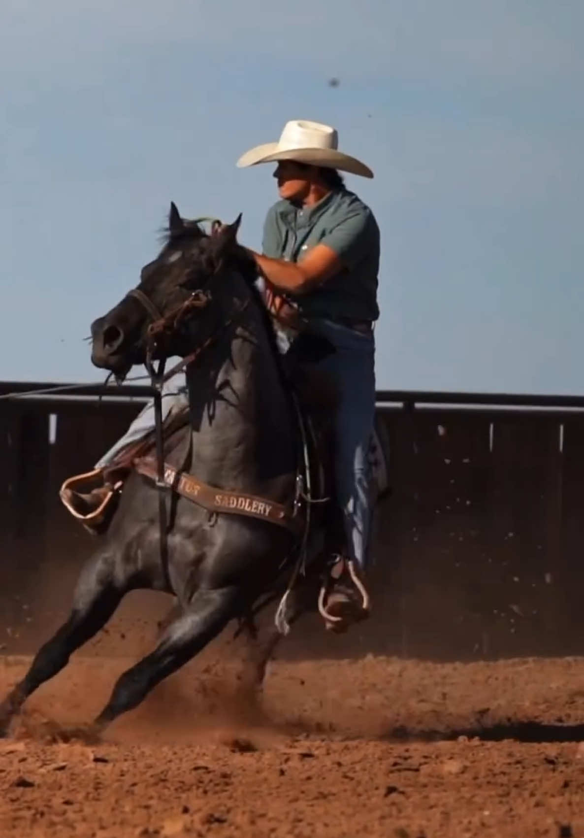 @Roping Dummies Texas