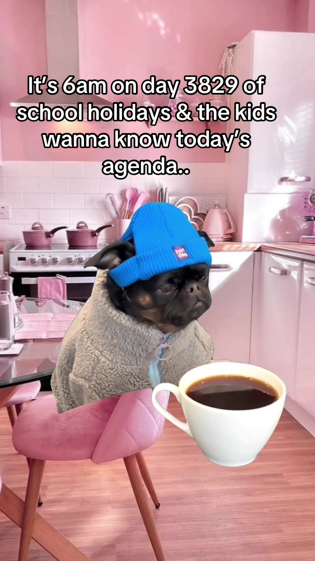 @Ashleigh Sanderson