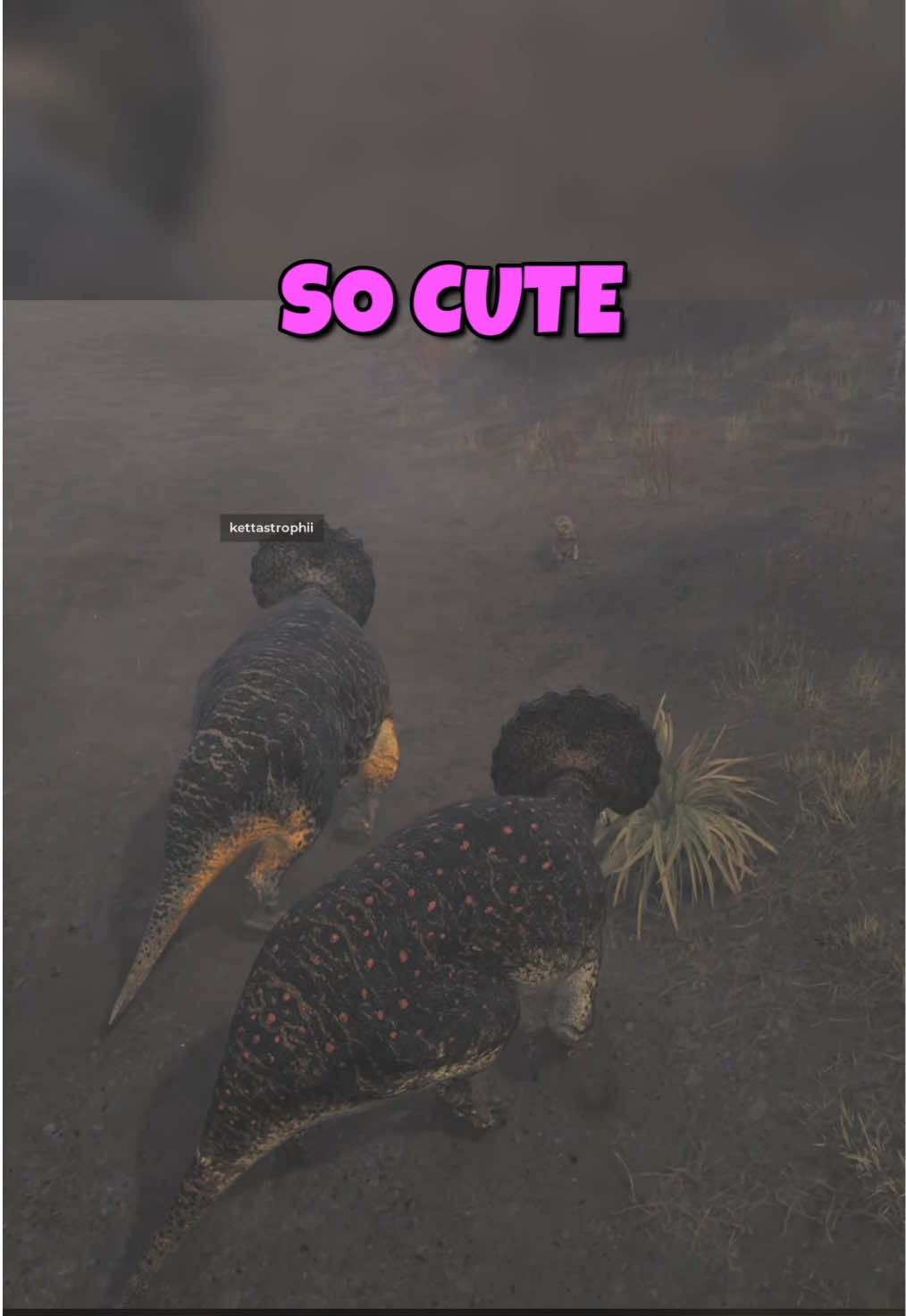 @MrGibbon