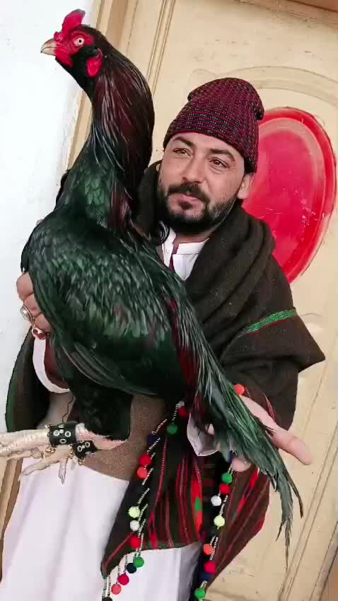 @Adnan Khan Aseel