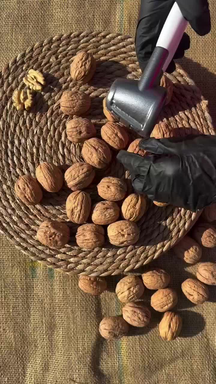 @kdyxjgi..__364