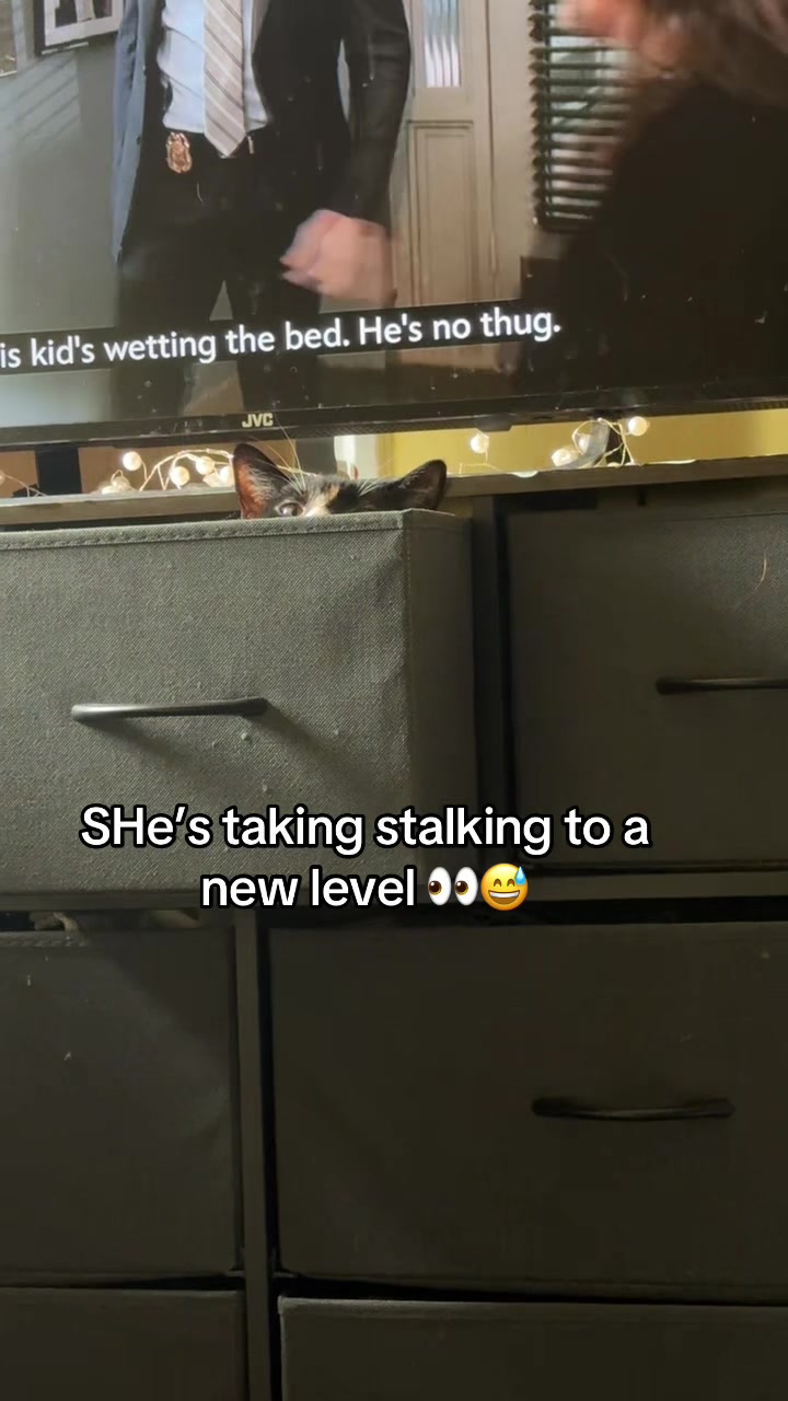 @Paigeyy