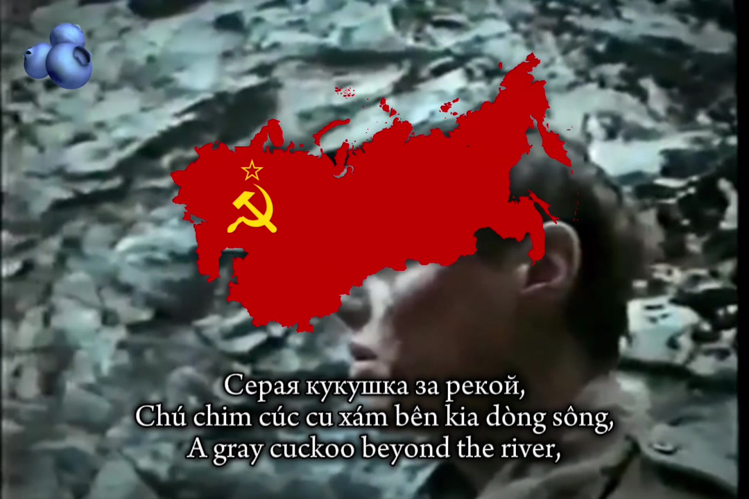 @🇺🇳✧𝓢𝓪𝓬𝓱𝓲✧🇺🇦🇻🇳