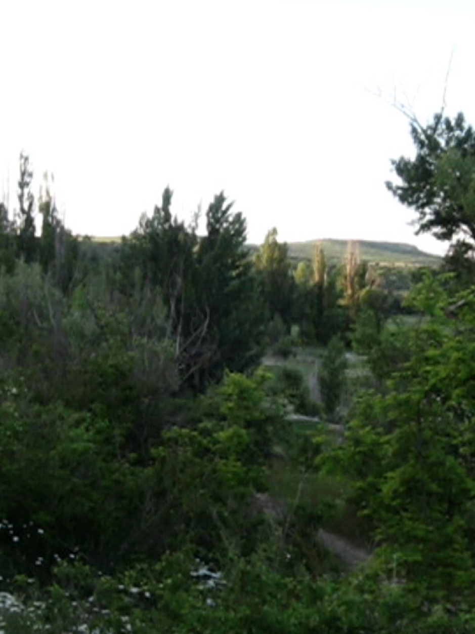 @viaje a ninguna parte