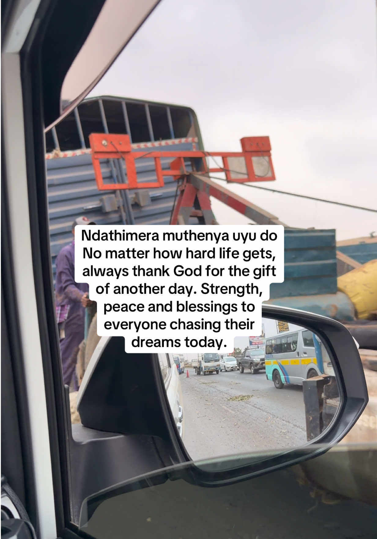@martovazihub