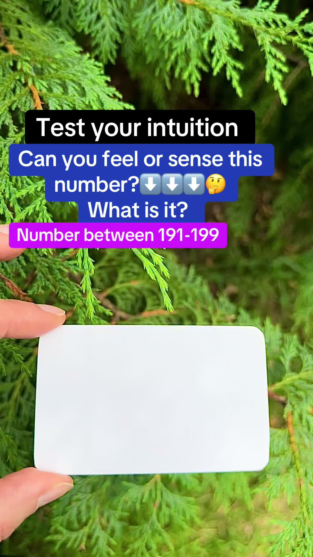 @Lia