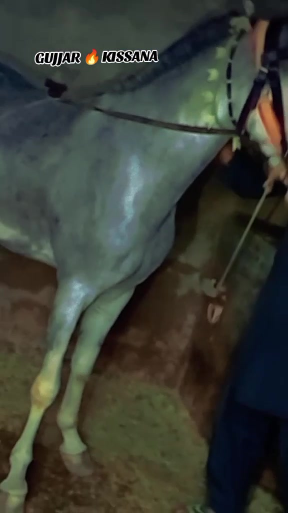 @𝐆𝐔𝐉𝐉𝐀𝐑 𝐊𝐈𝐒𝐒𝐀𝐍𝐀55