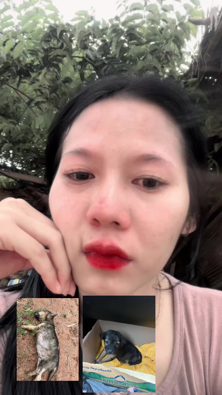 @จอย