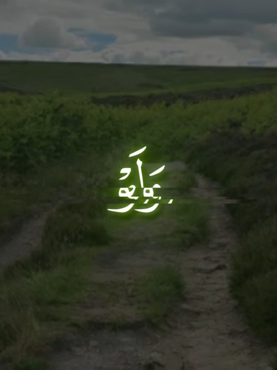 @quranrecitations_57𓂆🇵🇸