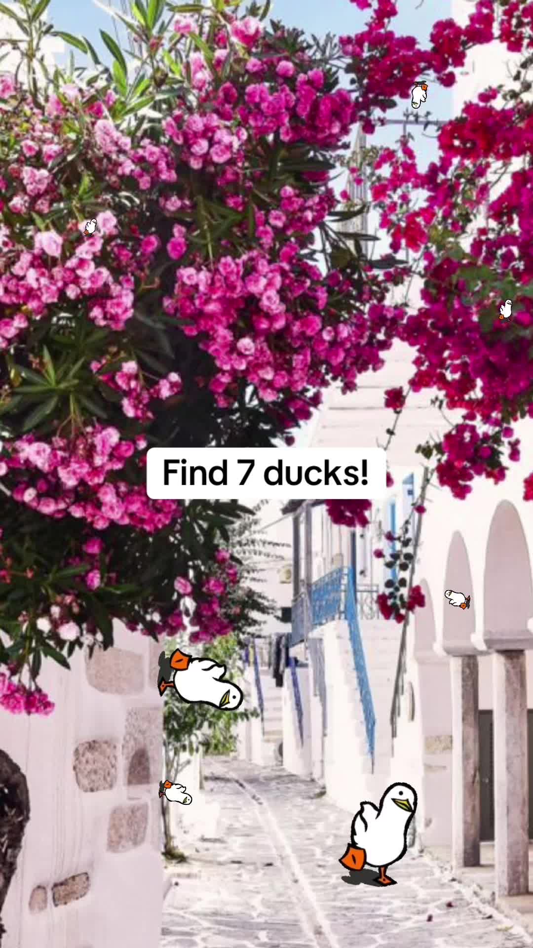 @smartwords0