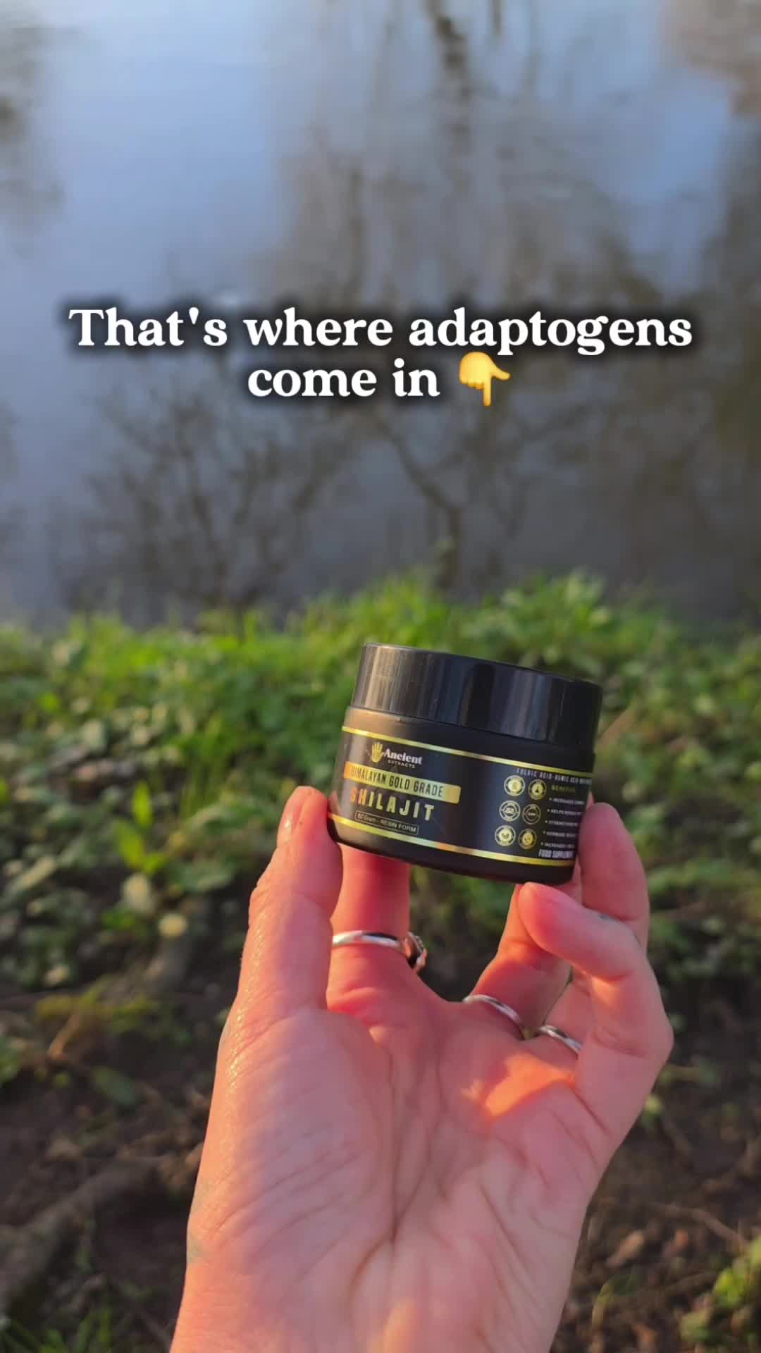 @Ancient Extracts