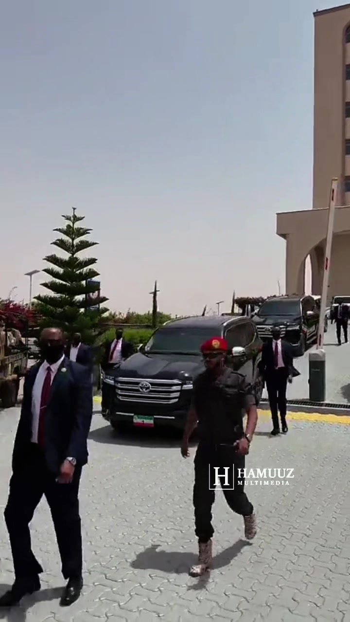 @Hamuuz🎥