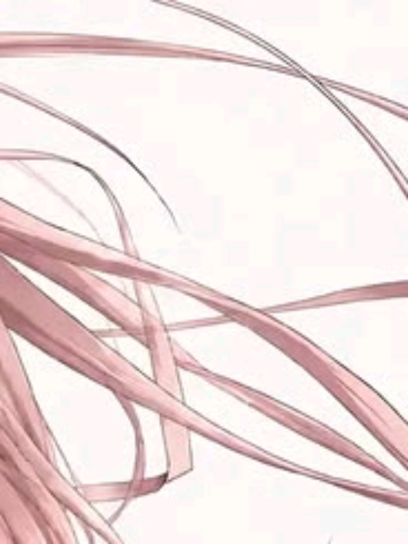 @˚⋆𐙚｡SNV𖦹.ᡣ𐭩˚