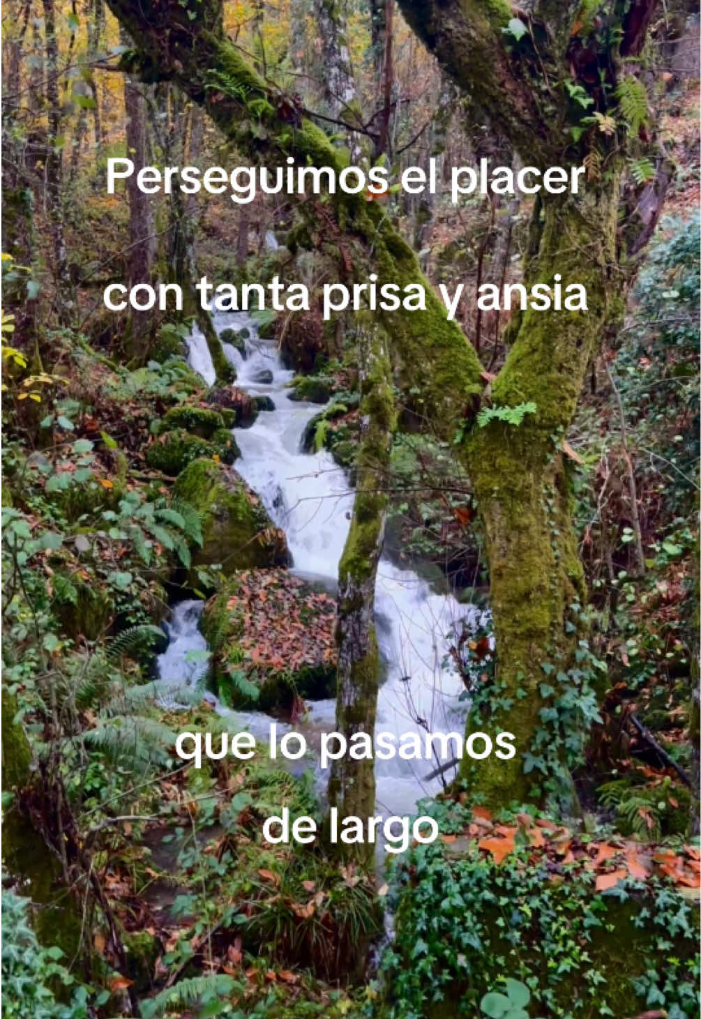 @earth pleasures