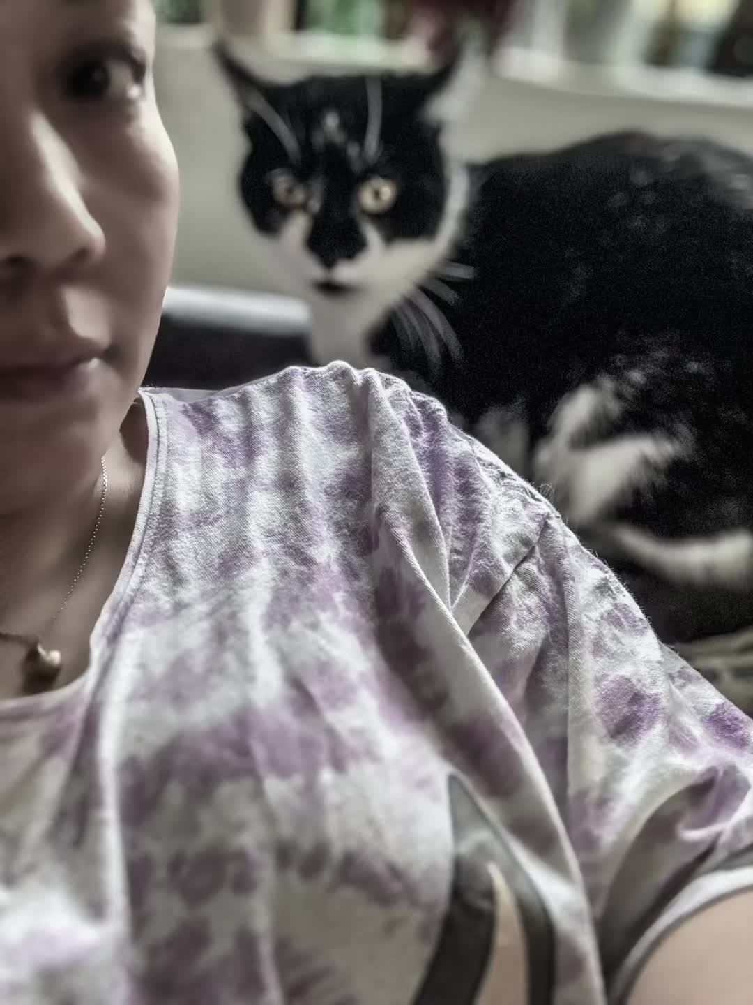 @Chibi.the.cat