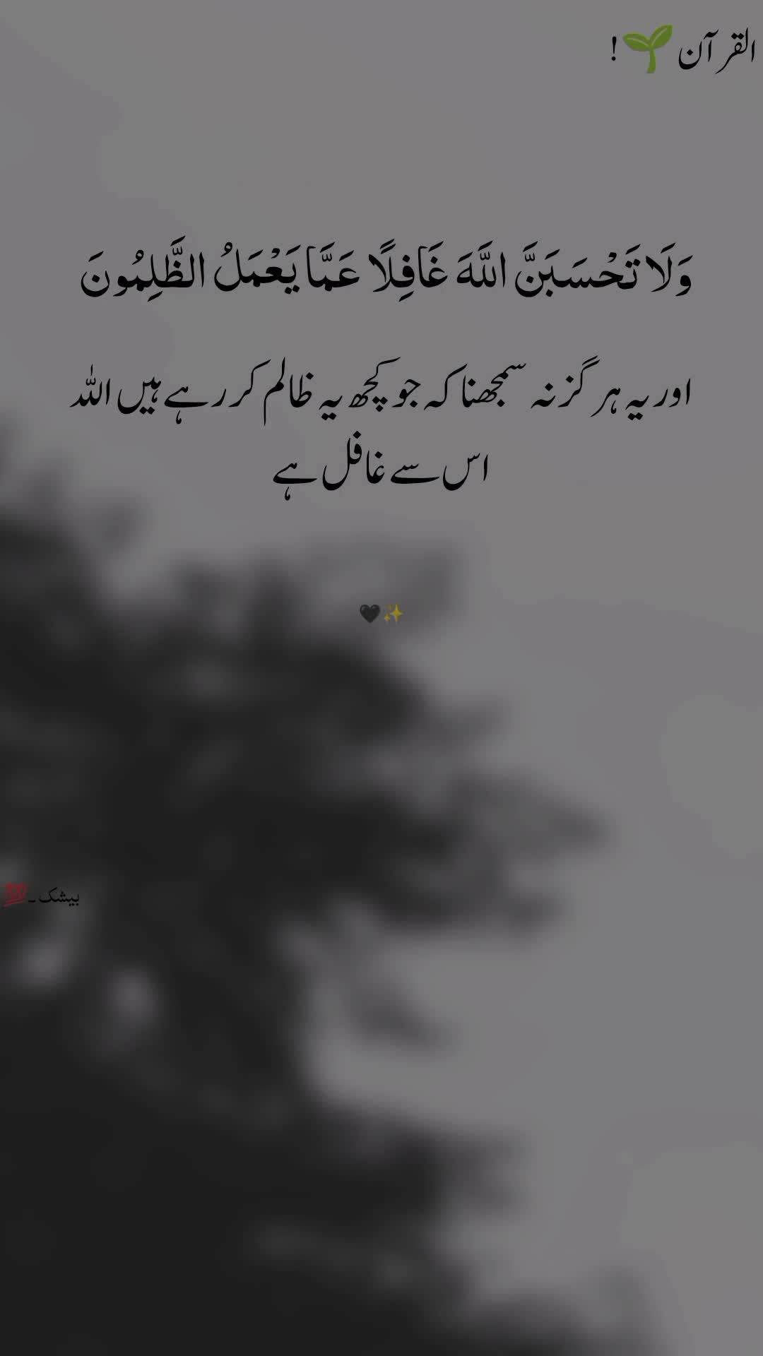@SOHAIL KHAN