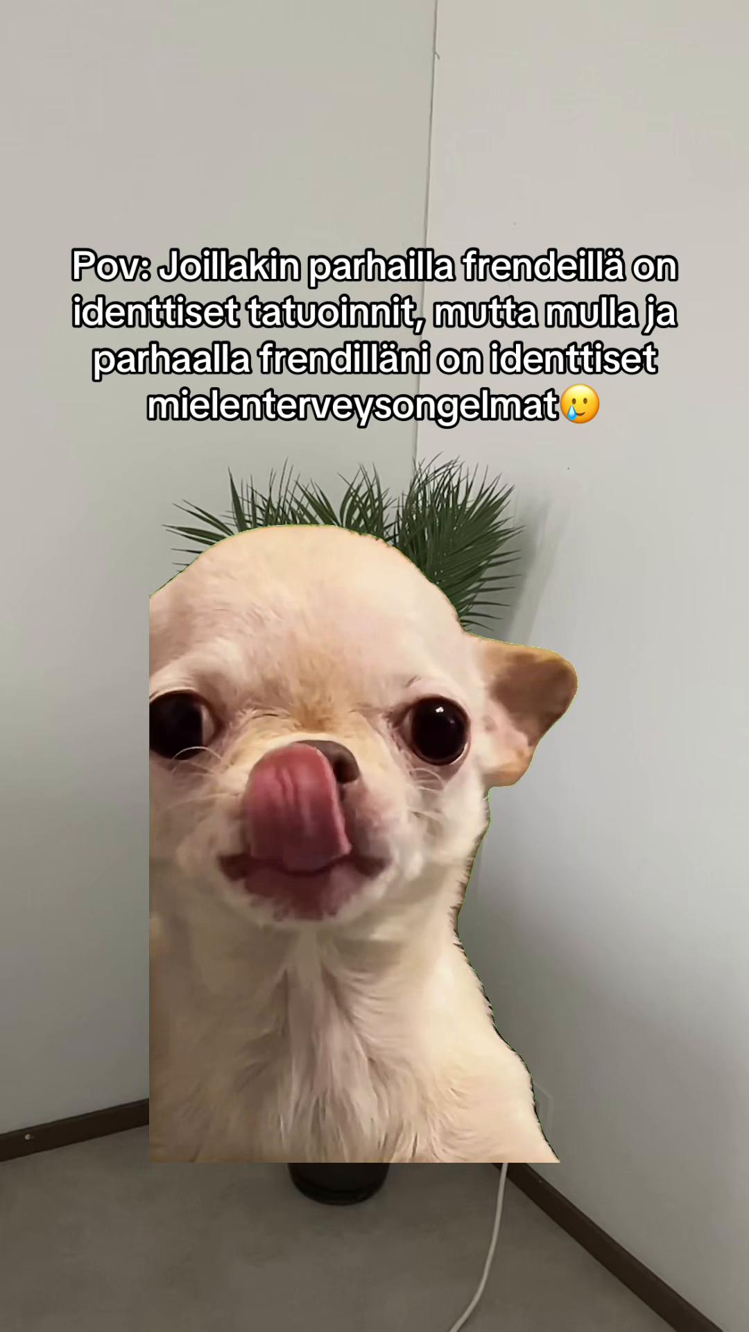 @Officialgabriellinuss