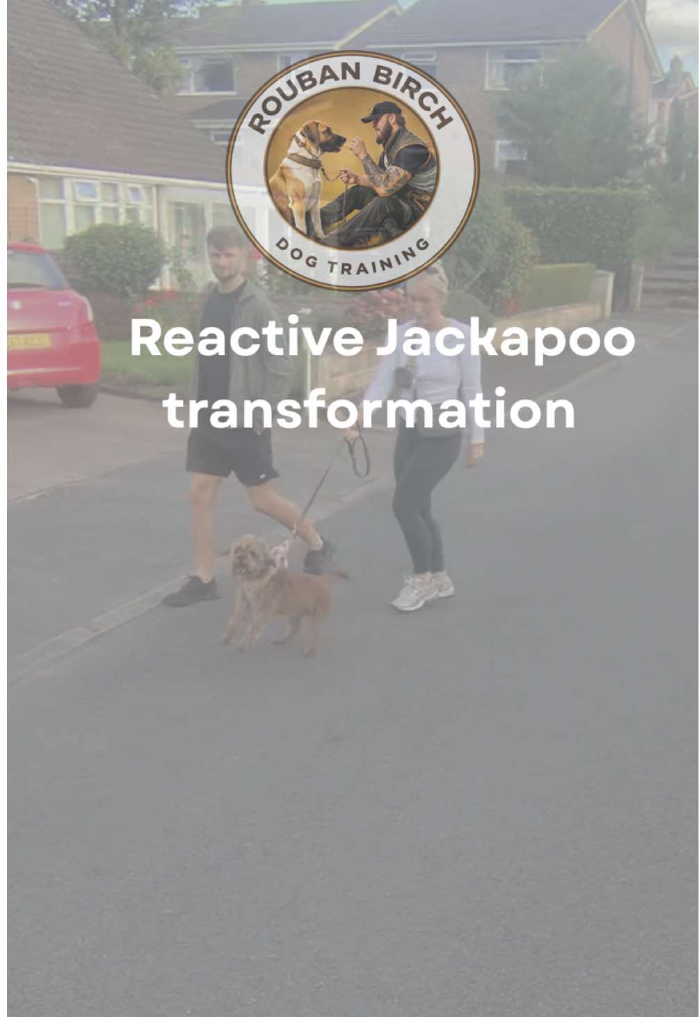 @rbdogtraining