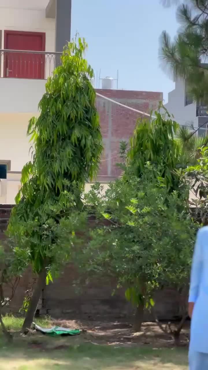 @amirjni46