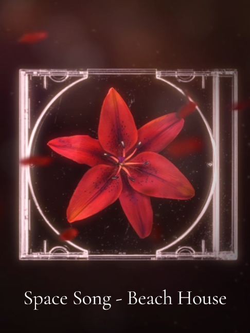 @โ
๐๐ค๐ฃ๐ ๐๐ฎ๐ง๐๐๐จ โ