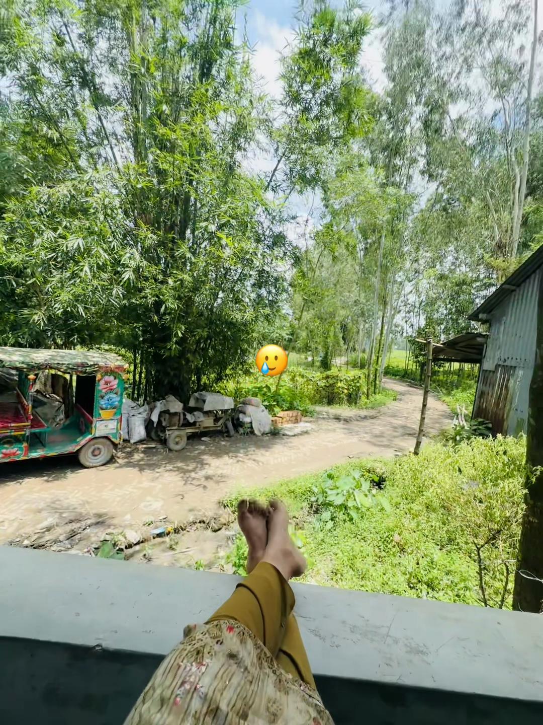 @🕊️