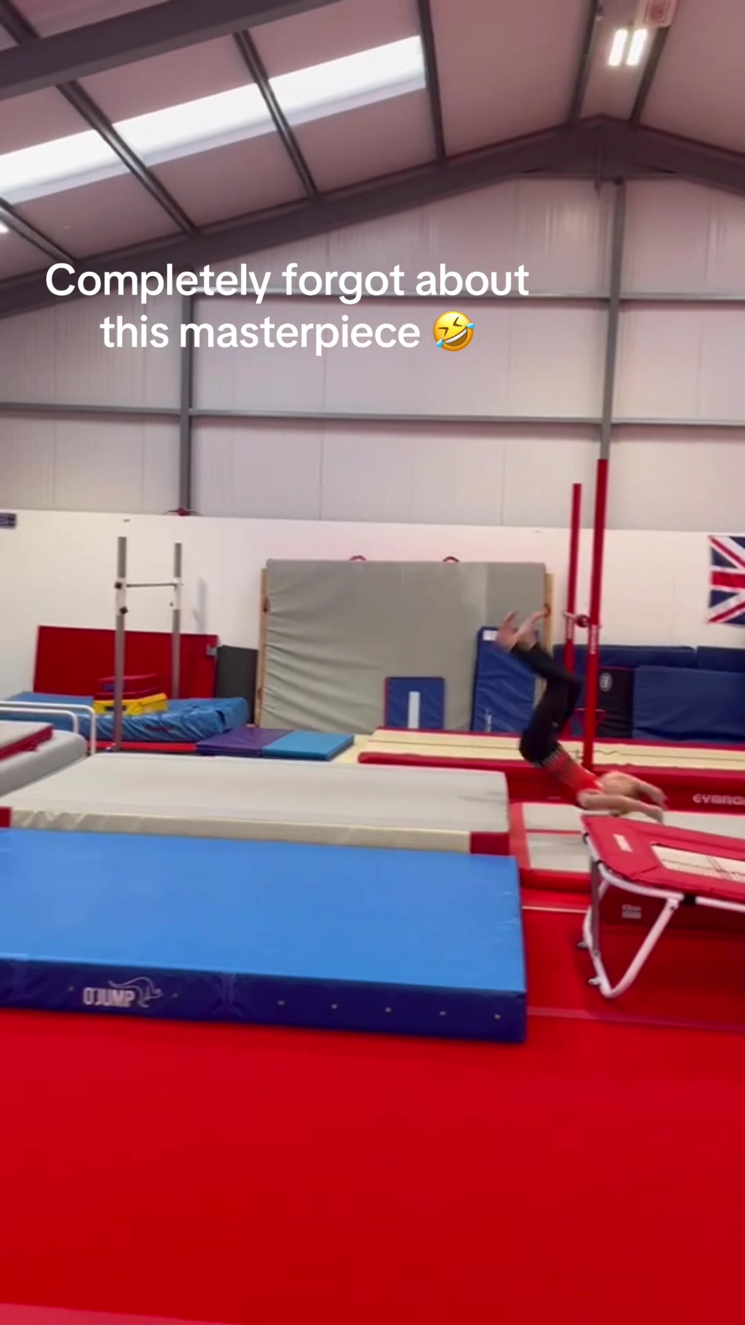 @Willow gymnast ๐๐คธ๐ผโ๏ธ