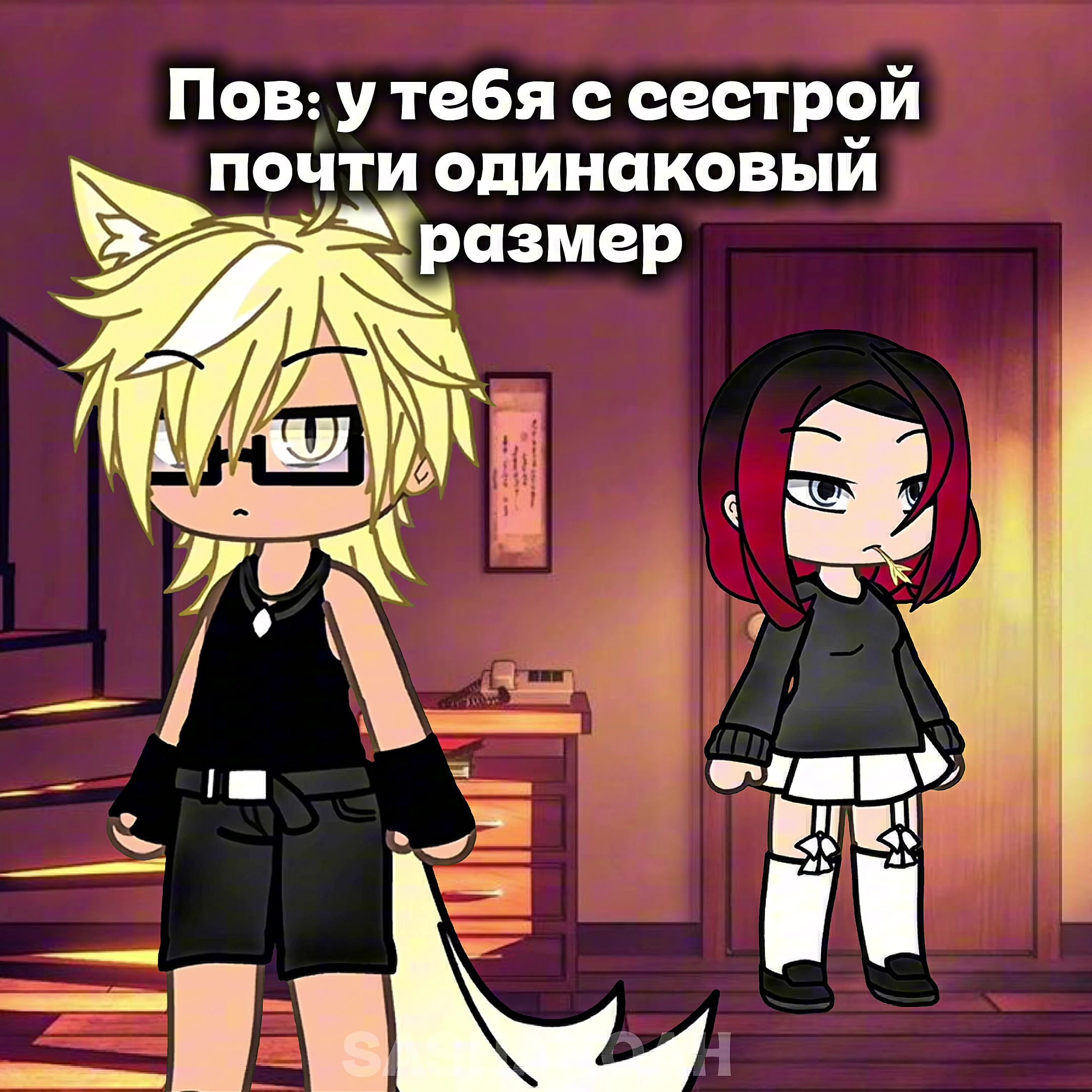 @Sasha Noah