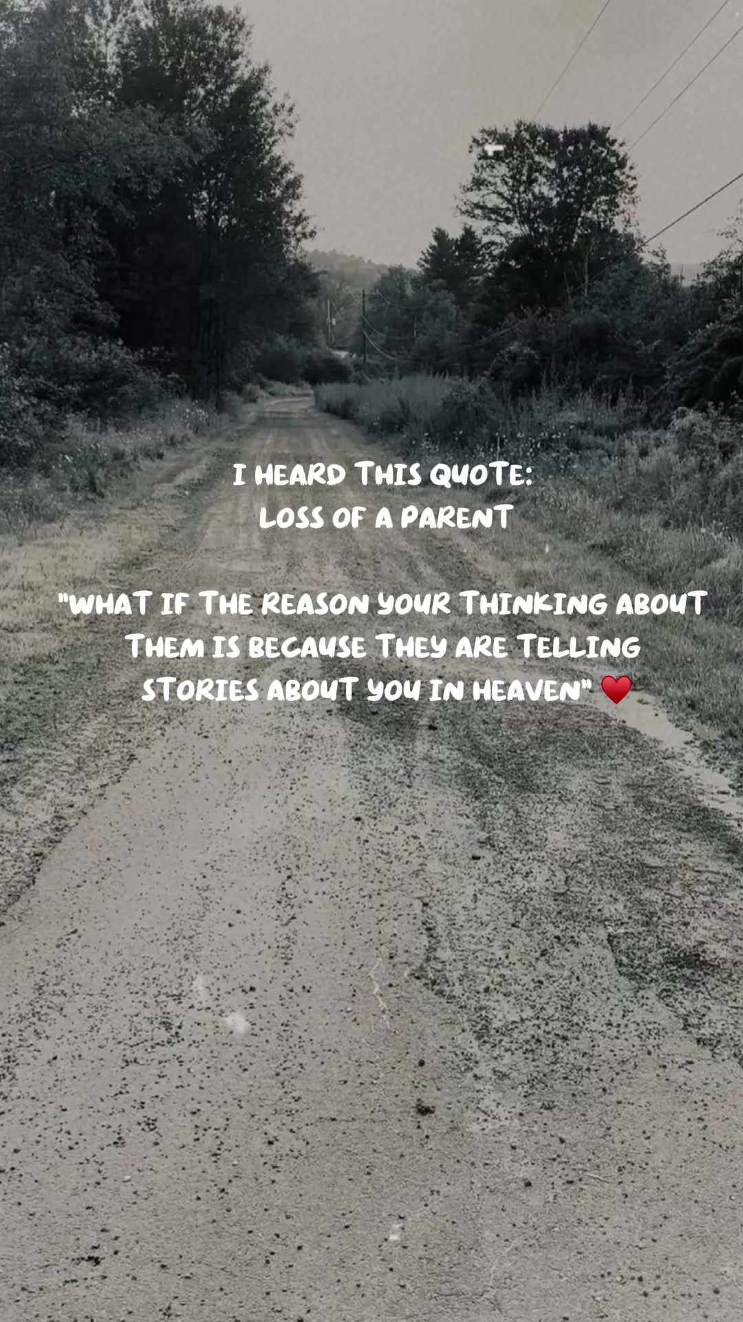 @☘️✨ShirleyGirl☘️✨Gen❌