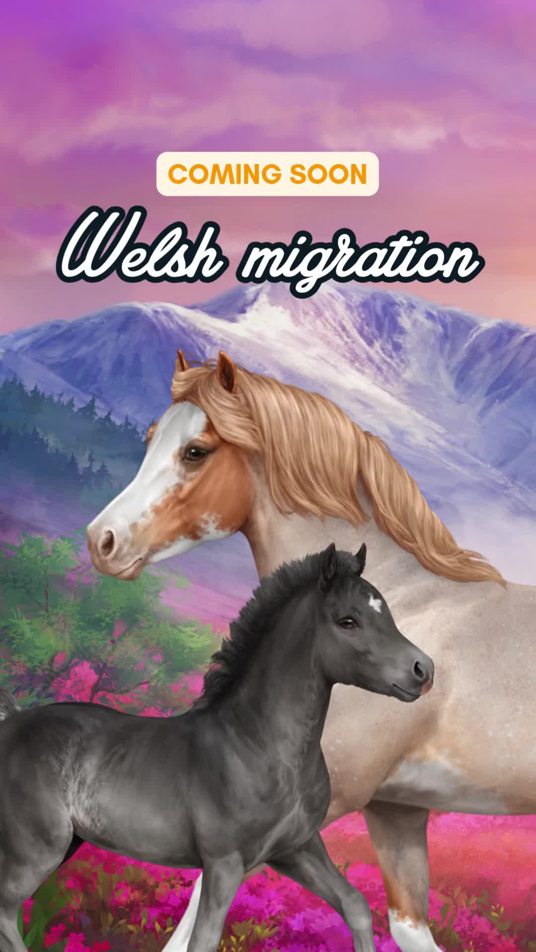 @Horse Reality