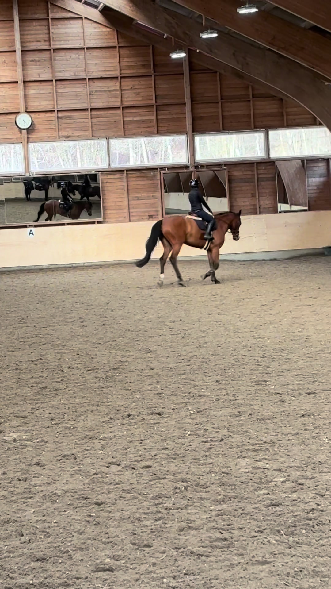 @hedda.equi