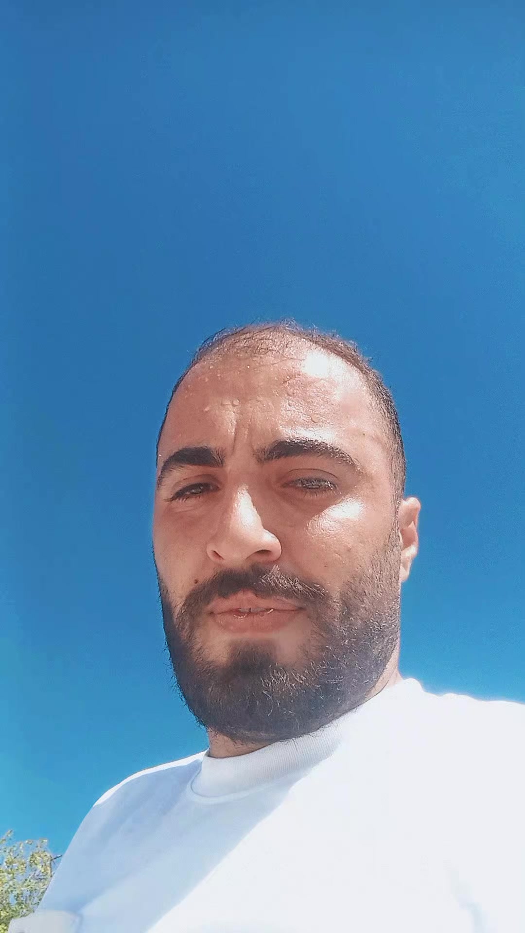 @ŞEHİTOĞLU