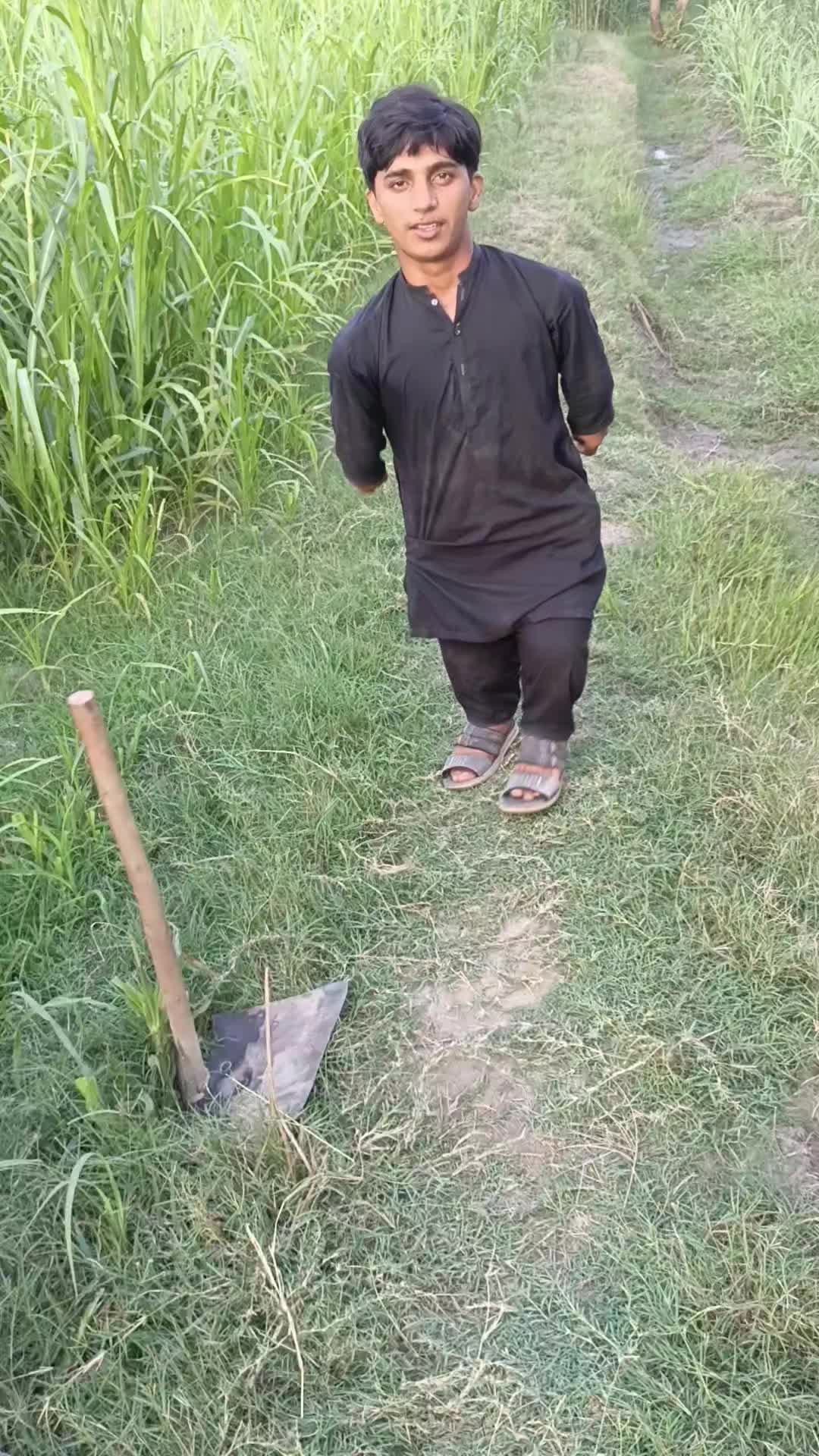 @گُڈو بادشاہ