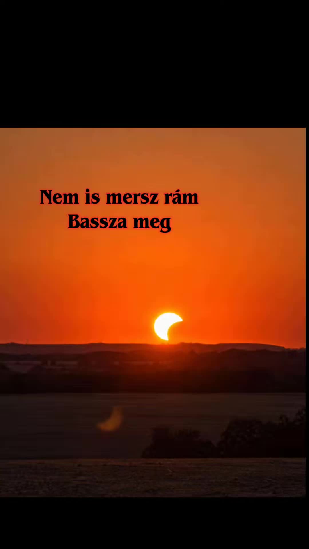 @🌿daniela_🌿