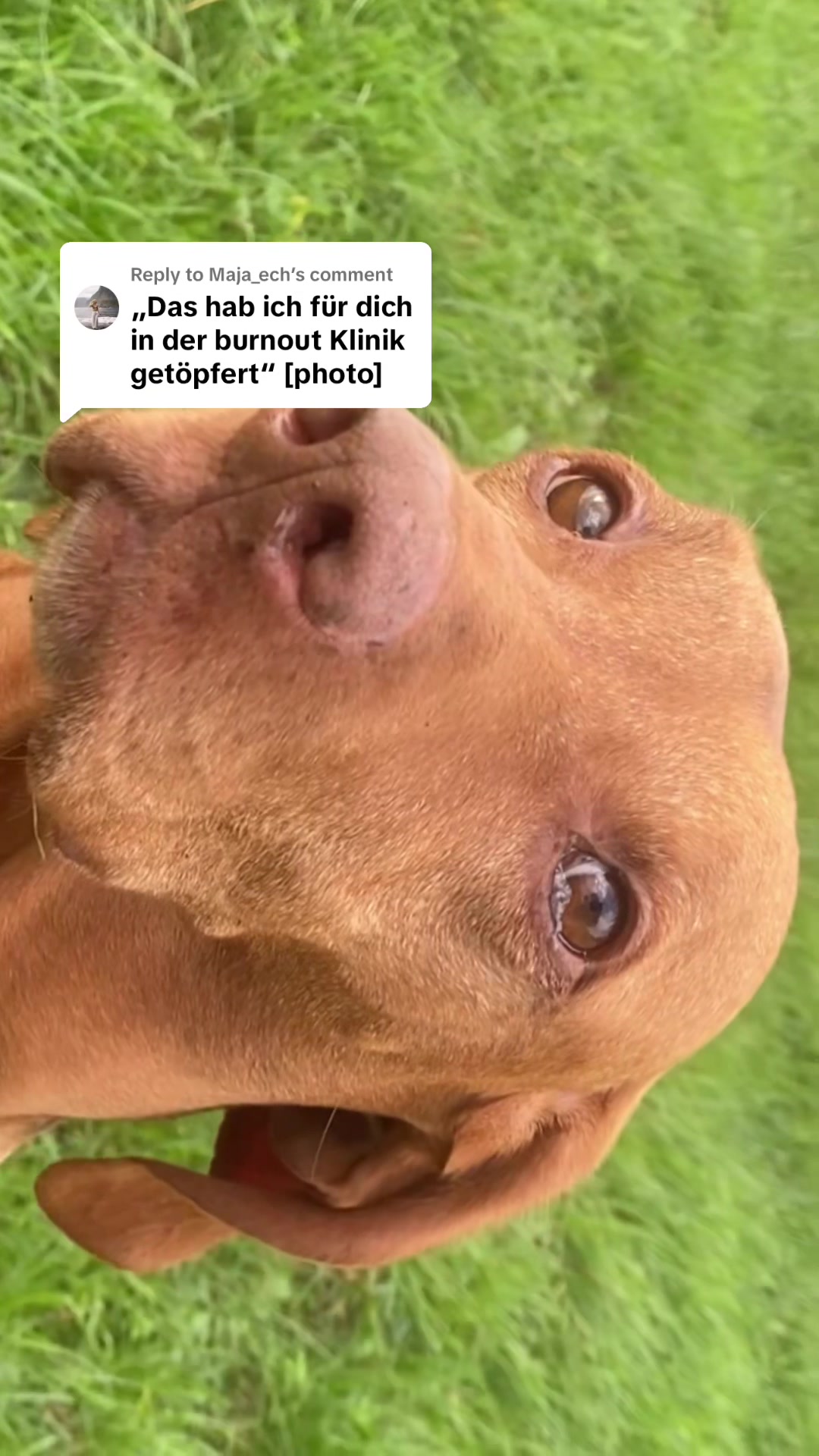 @⭐️
