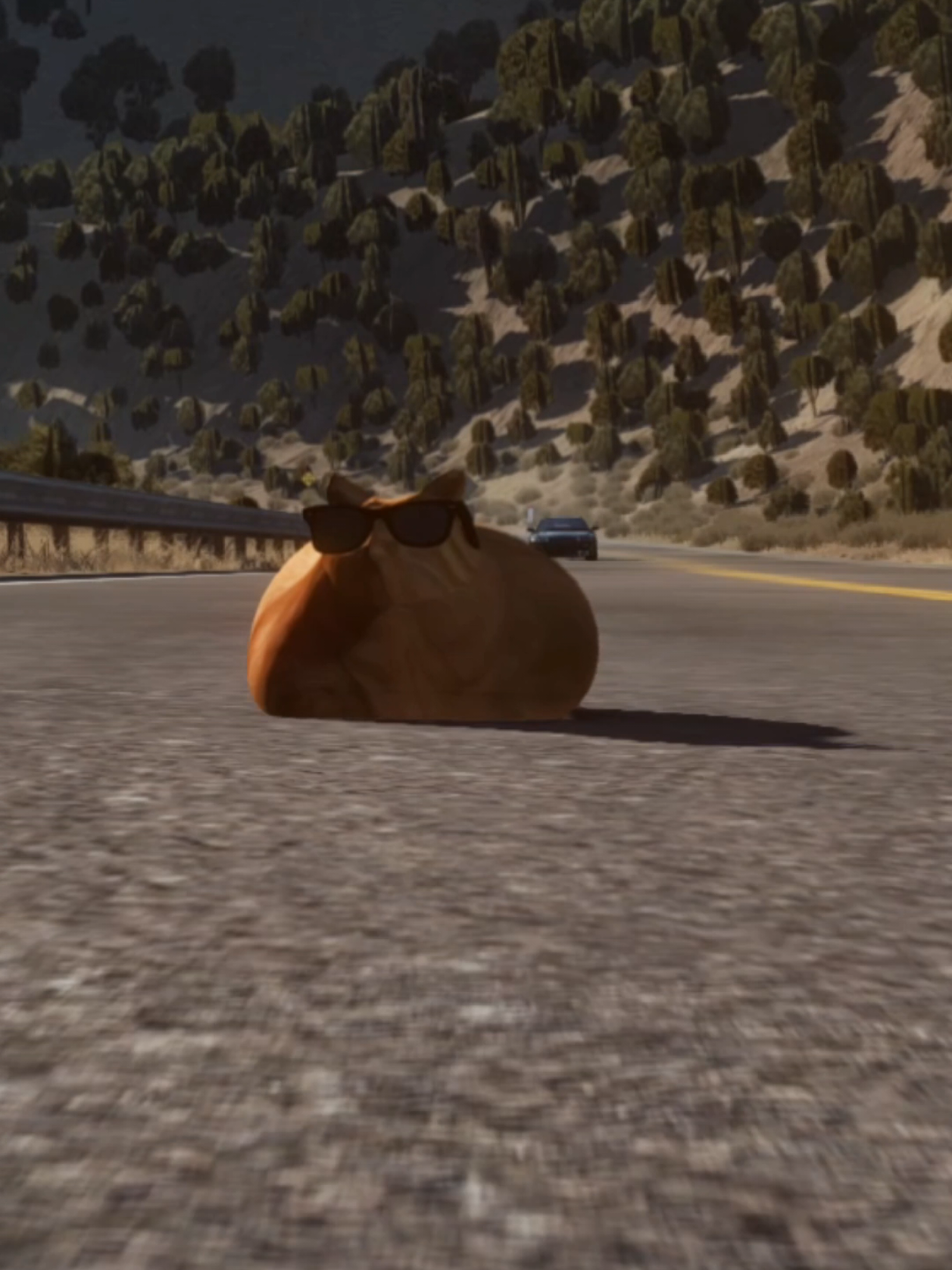 @Pablo the Race Cat