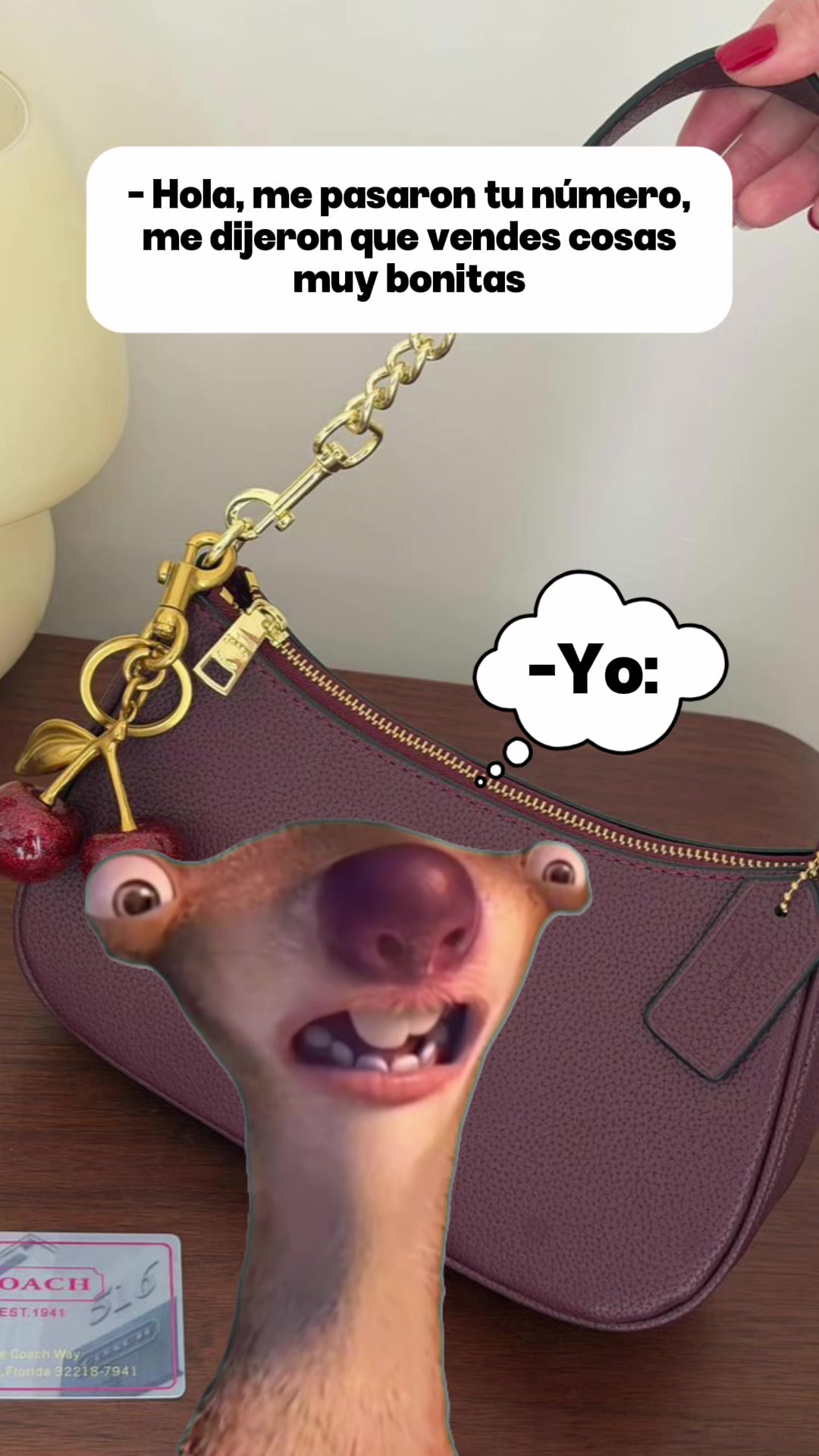 @L🦥