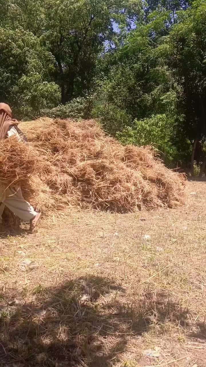 @AKhondi