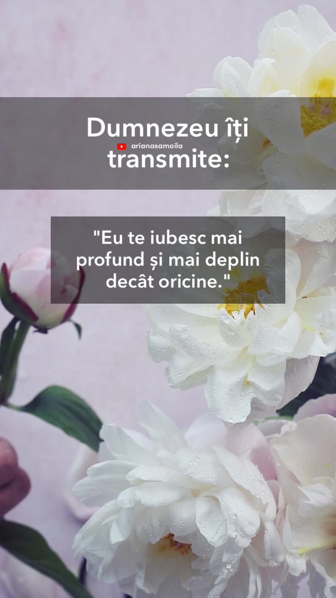 @Ariana Samoilă
