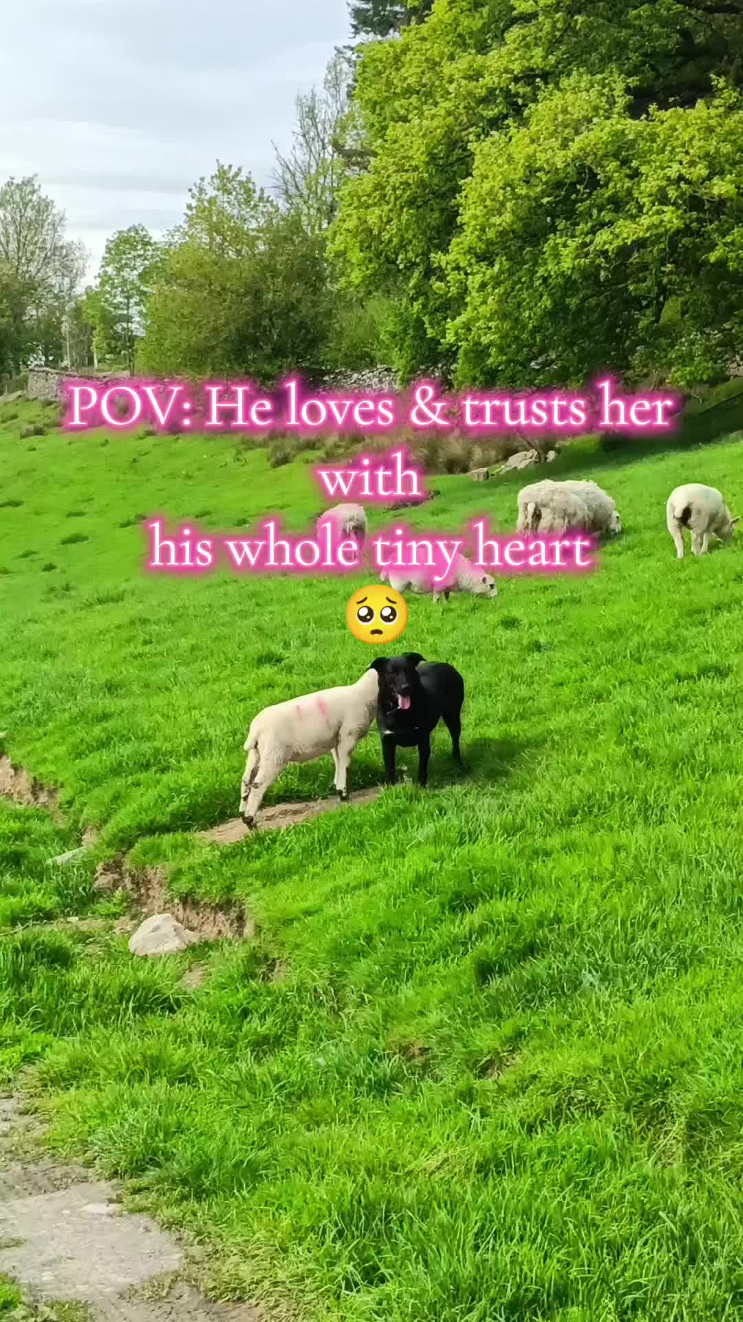 @fieldsforevere42