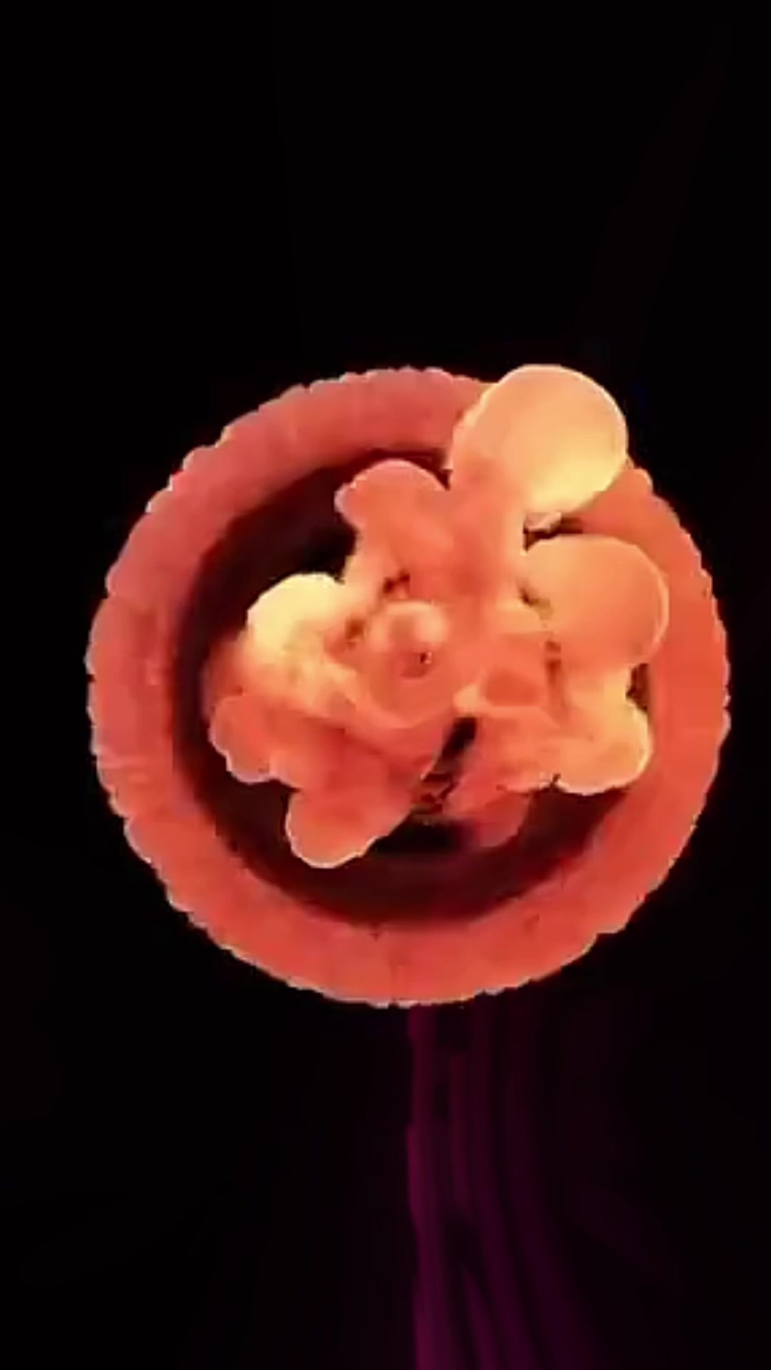 @𝓓𝓪𝓷𝓷𝔂